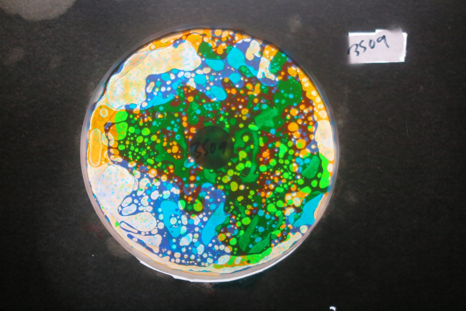 BV3509 bubble vision oil wheel